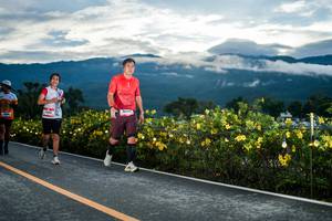 BIB: 
                            <button type="button" onclick="openModal(26538466)" class="btn btn-primary btn-sm float-right btn-popup" data-toggle="modal" data-target=".modal-high-quality">
                        <i class="fas fa-shopping-cart"></i> Add to Cart
                    </button>
                                            <button type="button" onclick="isThisMe(26538466, true)" class="btn btn-success btn-sm float-right btn-popup btn-isme hidden" data-toggle="tooltip" data-placement="bottom" title="นี่คือรูปของคุณใช่ไหม คลิกที่นี่เพื่อเอาเข้าอัลบั้ม">
                        <i class="fas fa-plus"></i> Add to album
                    </button>
                    <button type="button" onclick="isThisMe(26538466, false)" class="btn btn-warning btn-sm float-right btn-popup btn-isnotme hidden">
                        <i class="fas fa-ban"></i> Remove from album
                    </button>